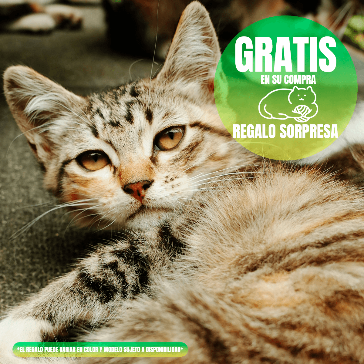 Paquete Nupec Gato 30 latas de alimento húmedo 15 Urinary & 15 Hairball con regalo