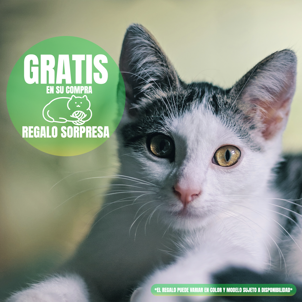 Nupec Indoor gato adulto 5kg más bola catnip de regalo