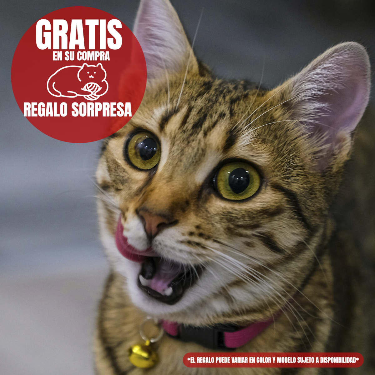 24 sobres de 85G ProPlan Gato Adulto sabor pollo más regalo