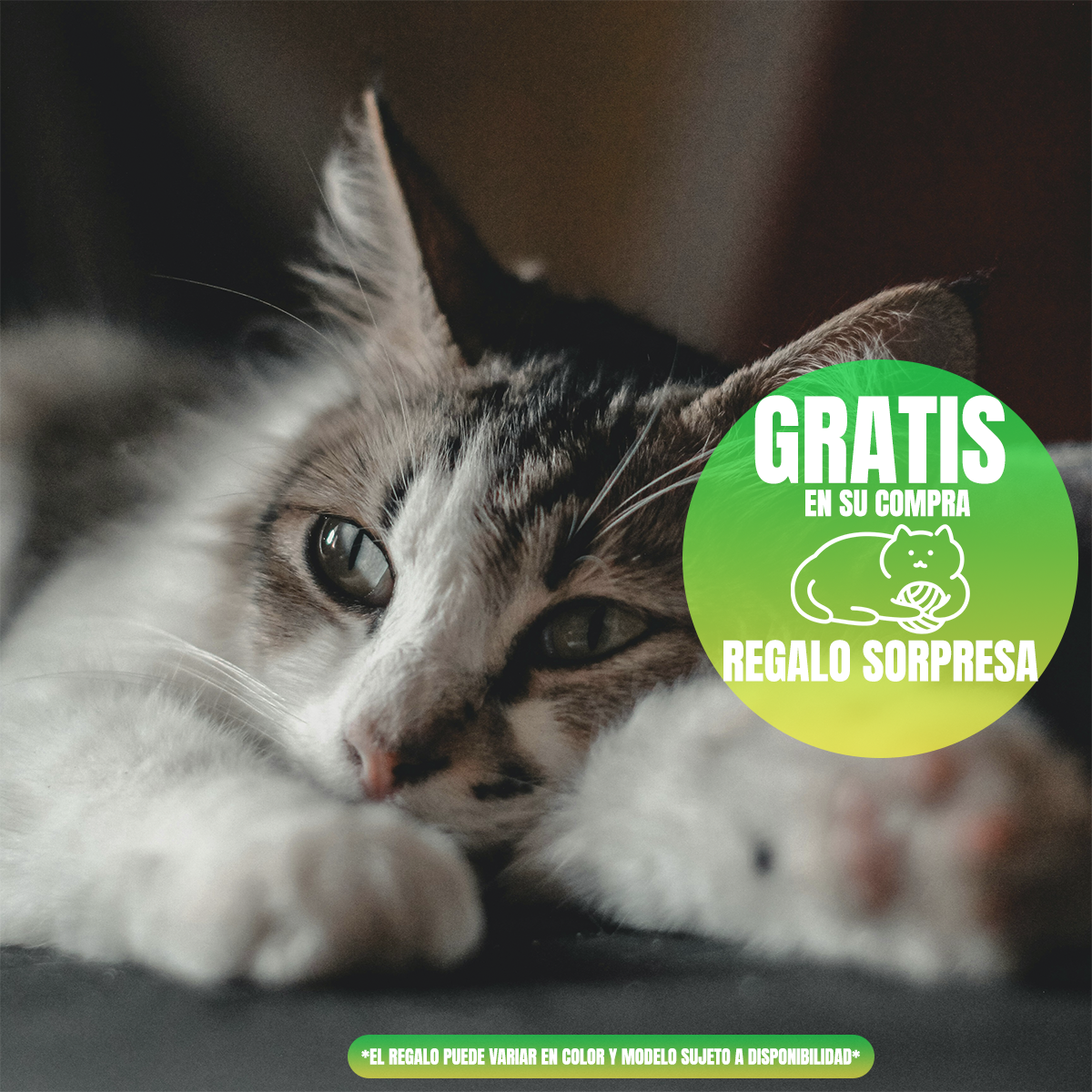 Paquete de 20 o 30 latas Nupec Indoor Gato más regalo