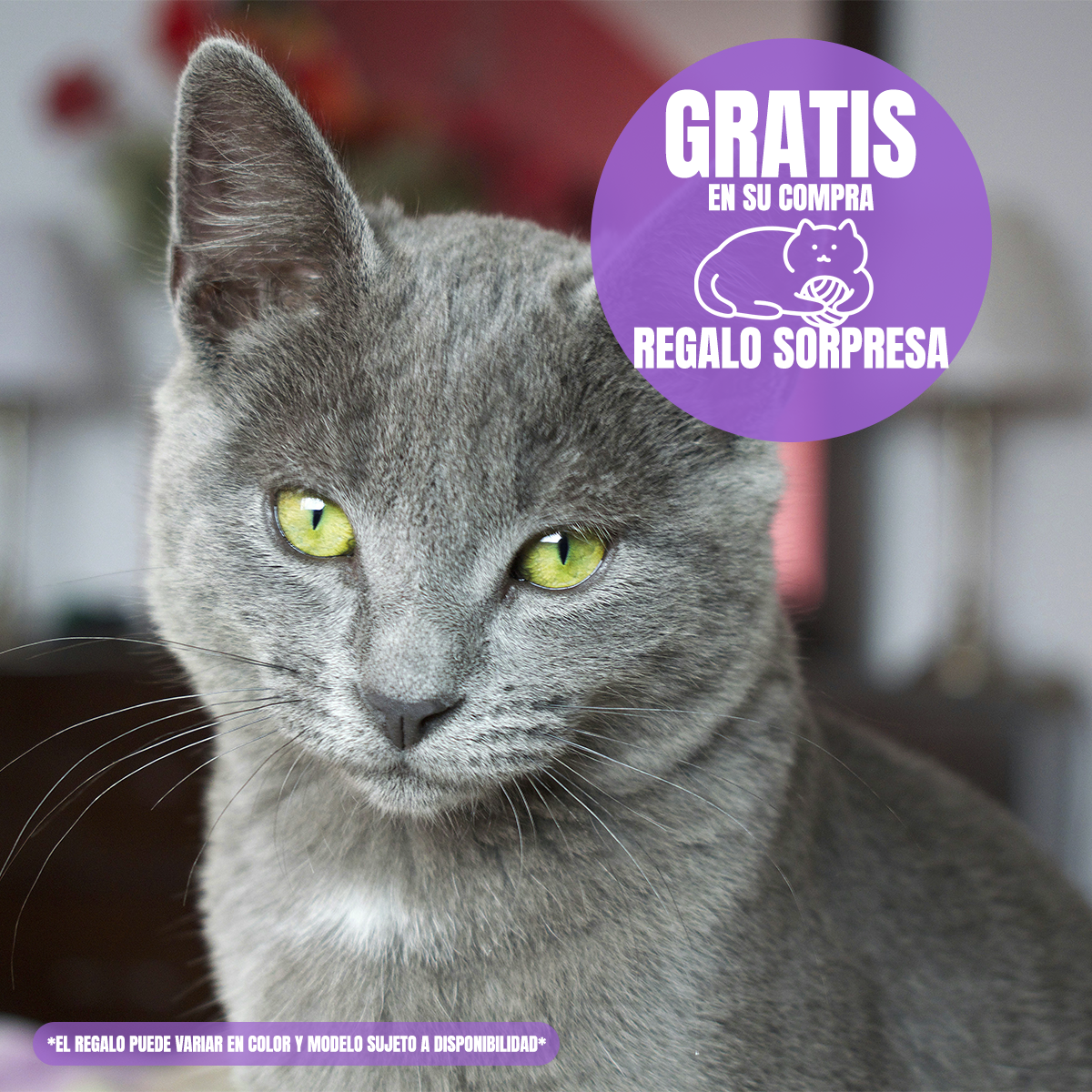 Alimento para gato Pro Plan Urinary sabor pollo 3kg con regalo