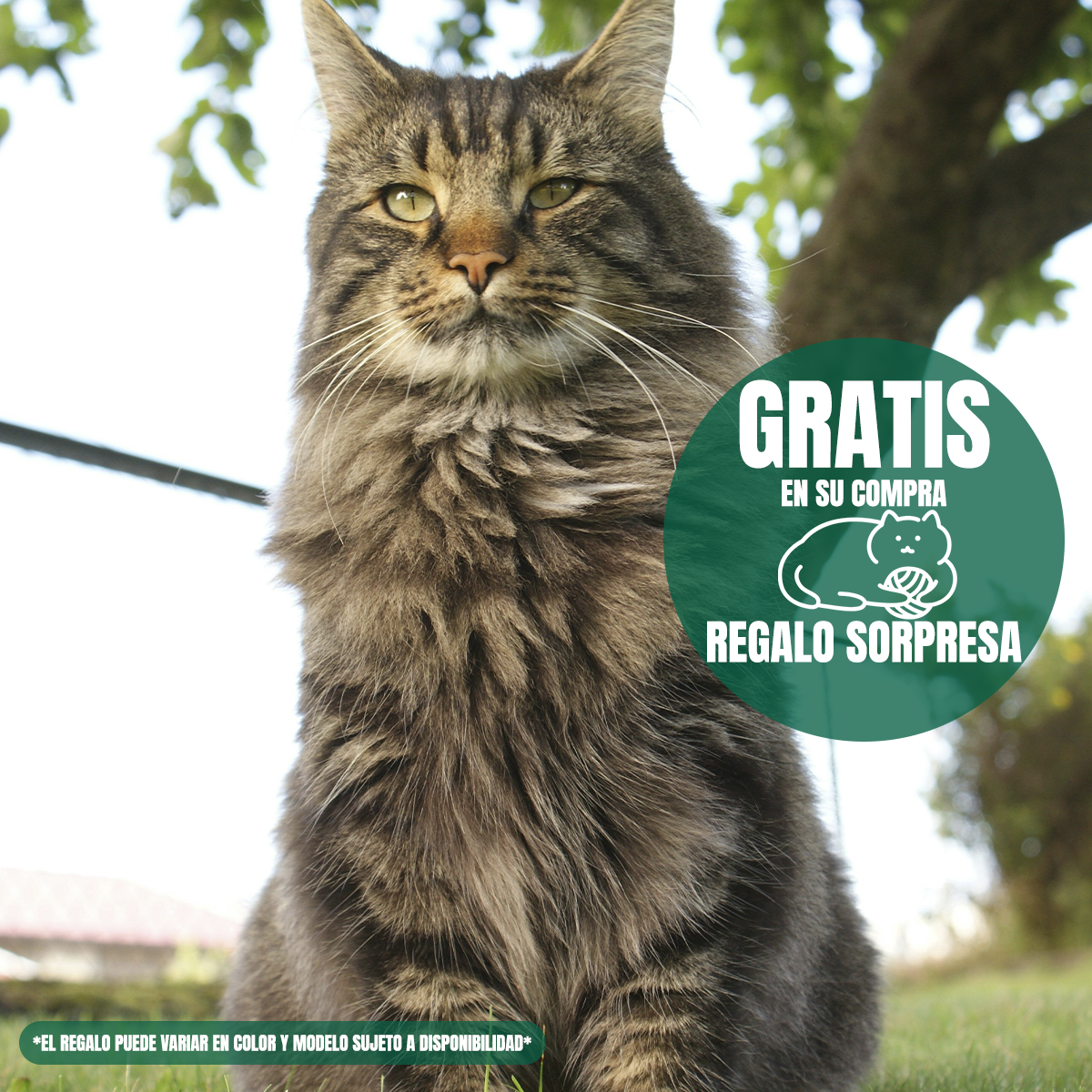 Pack Nupec 20 latas gato Hairball alimento húmedo con regalo