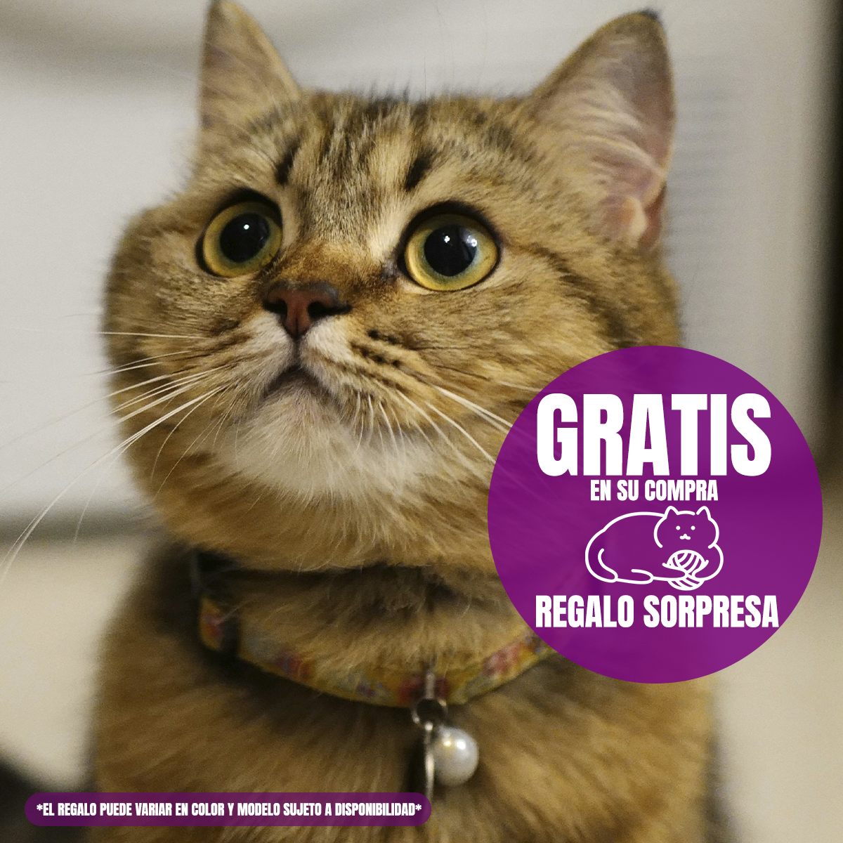 24 Sobres De 85g ProPlan Gato Urinary más juguete de regalo