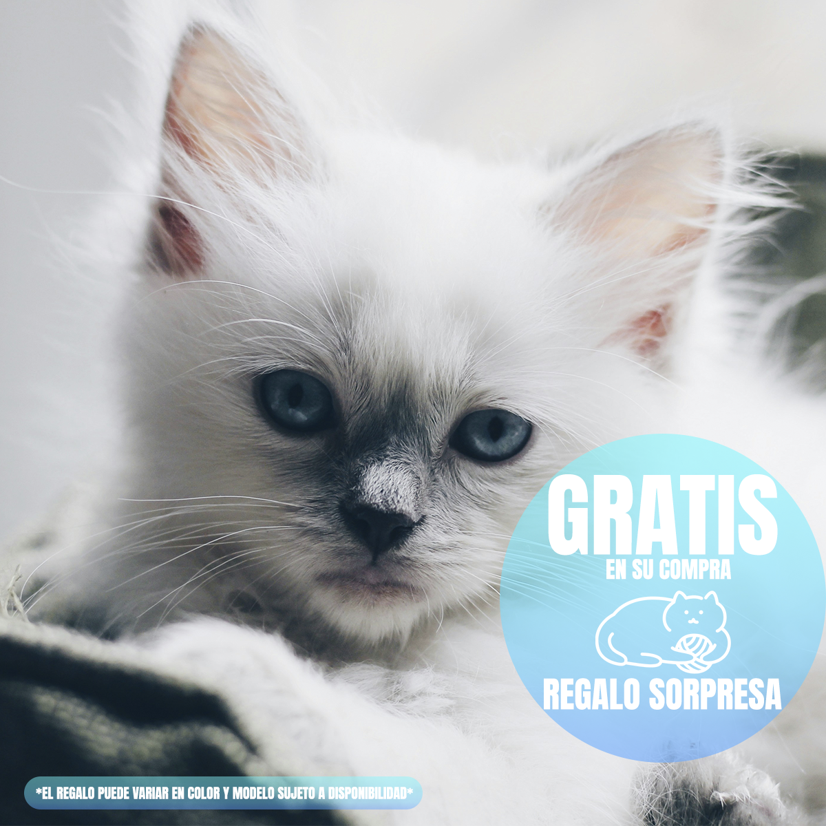 Paquete Nupec Felino Kitten 3kg más bolita catnip de regalo