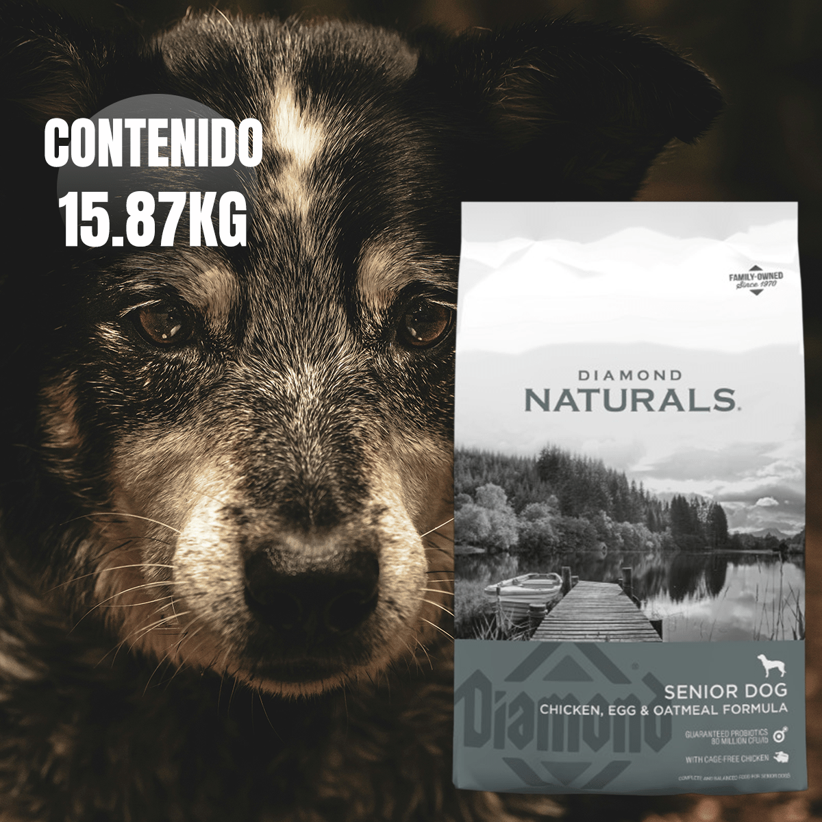 Alimento Diamond Naturals Senior Dog 15.87 kg + Regalo - FridaPets - Perro - Alimento - Seco - DIAMOND