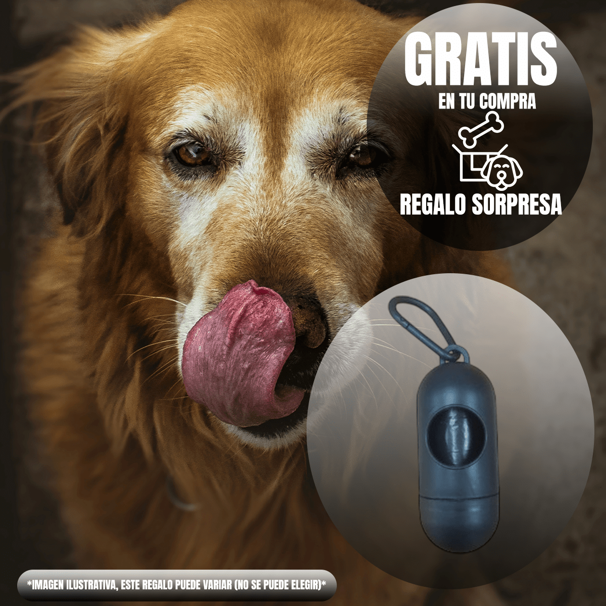 Alimento Diamond Naturals Senior Dog 15.87 kg + Regalo - FridaPets - Perro - Alimento - Seco - DIAMOND