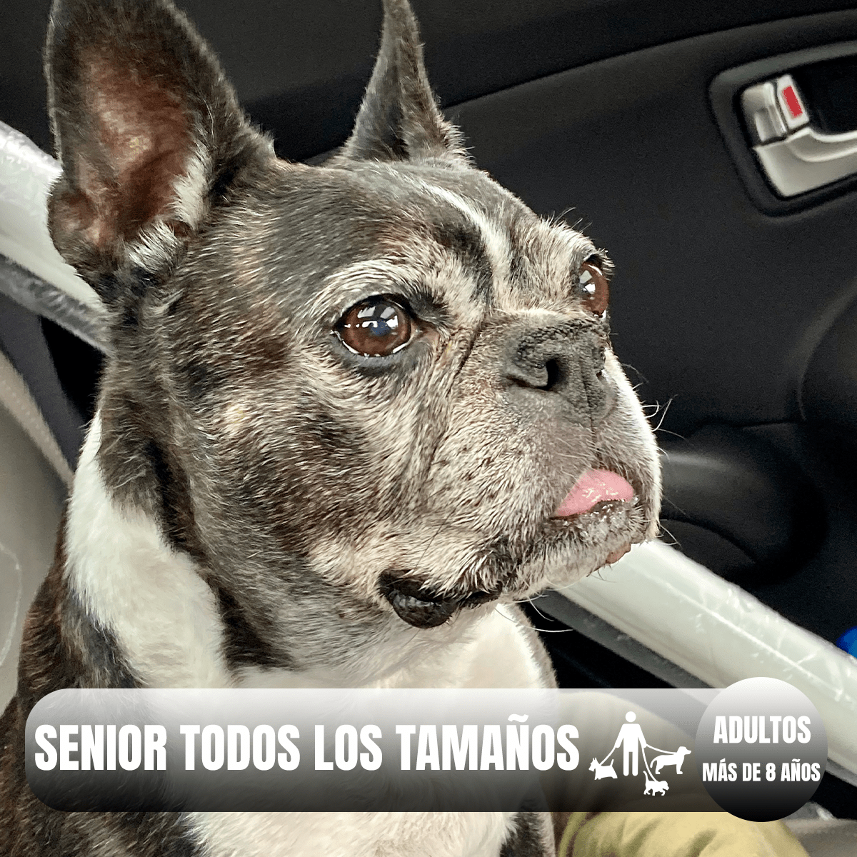 Alimento Diamond Naturals Senior Dog 15.87 kg + Regalo - FridaPets - Perro - Alimento - Seco - DIAMOND
