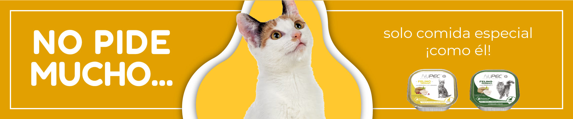 FridaPets
