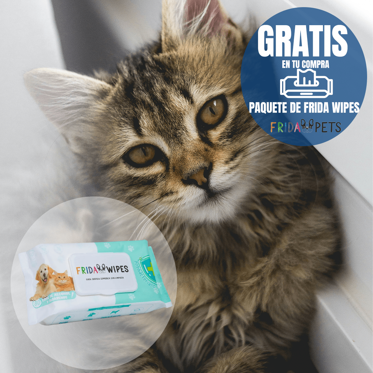 Alimento Excellent Gato Adulto 3kg + Regalo para Gato - FridaPets - Gato - Alimento - Seco - Excellent