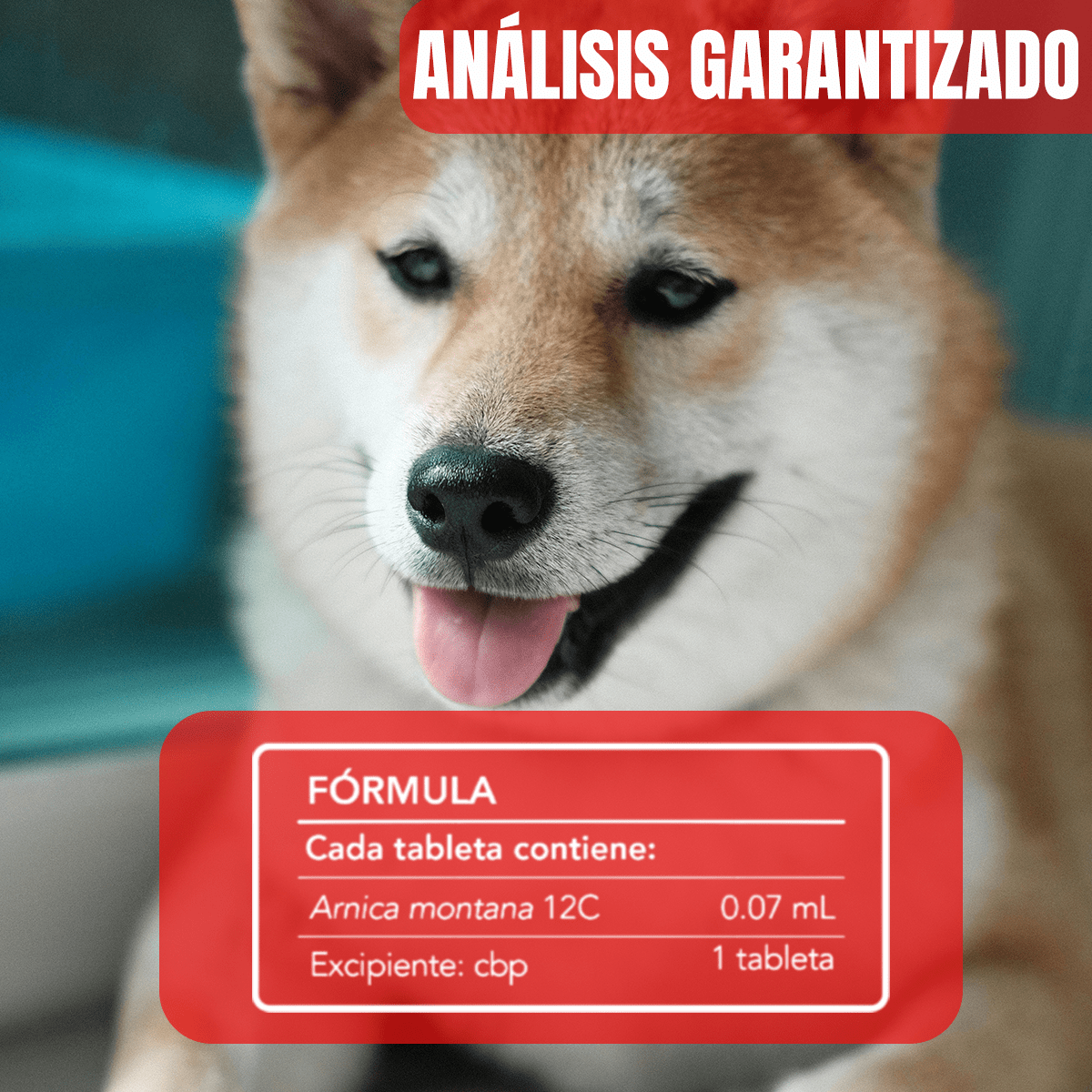 Arni Pets Tabletas con Árnica Montana - Nartex - FridaPets - Perro - Snacks - Nartex