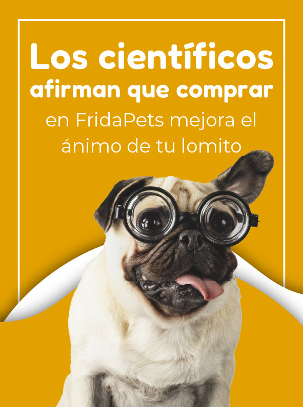 FridaPets