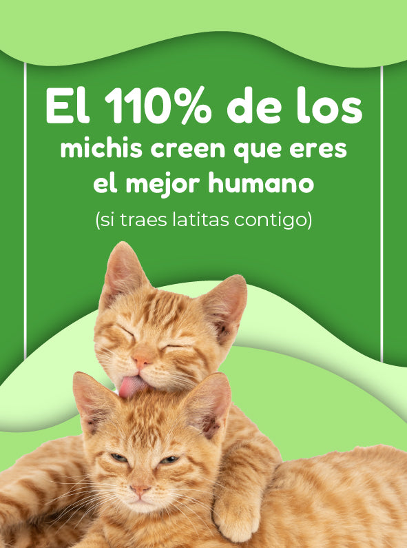 FridaPets