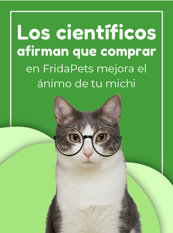 FridaPets