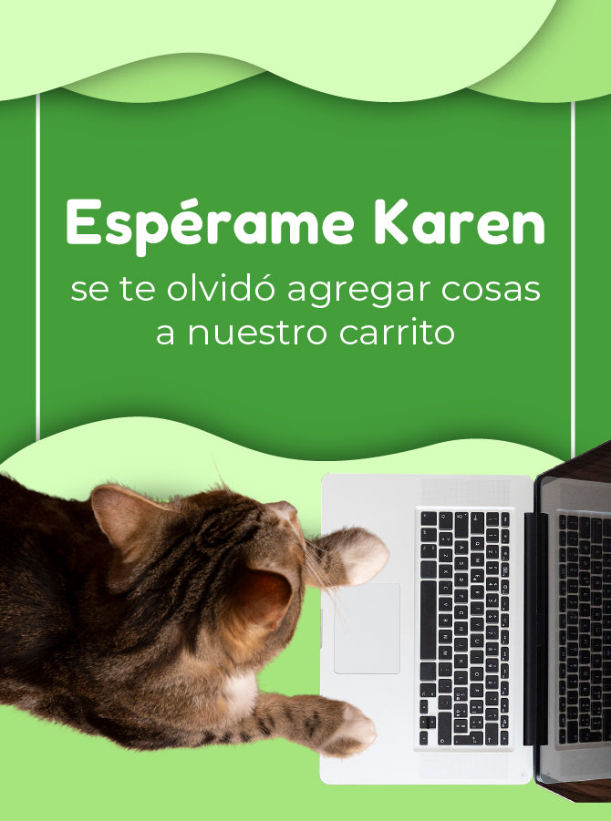 FridaPets