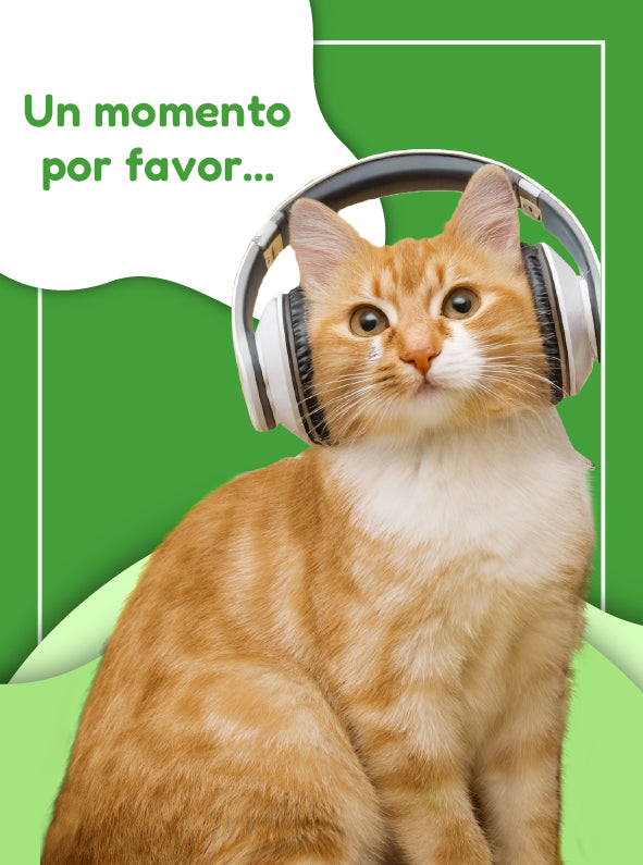 FridaPets