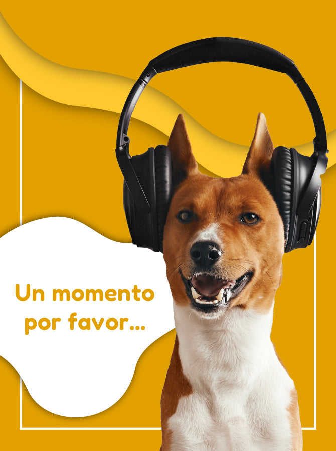 FridaPets
