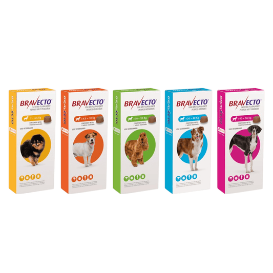 BRAVECTO ANTIPULGAS Y GARRAPATAS PARA PERROS - FridaPets - Perro - Salud y bienestar - Bravecto