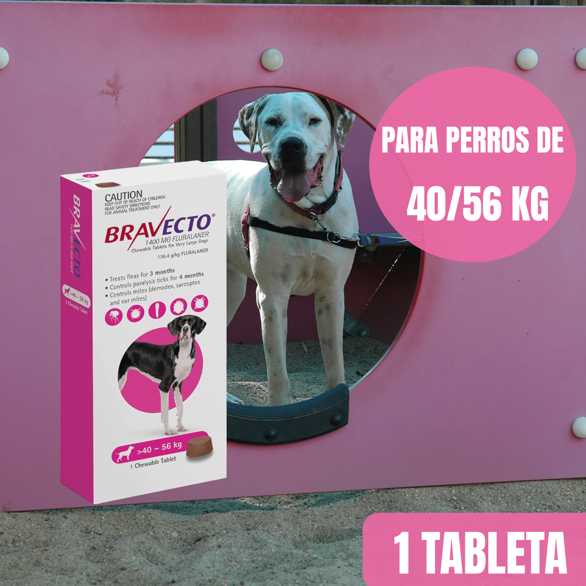 BRAVECTO ANTIPULGAS Y GARRAPATAS PARA PERROS - FridaPets - Perro - Salud y bienestar - Bravecto