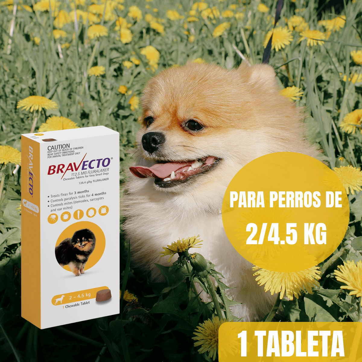 BRAVECTO ANTIPULGAS Y GARRAPATAS PARA PERROS - FridaPets - Perro - Salud y bienestar - Bravecto
