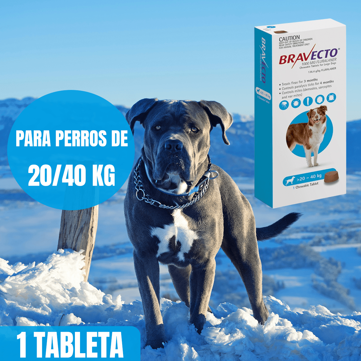 BRAVECTO ANTIPULGAS Y GARRAPATAS PARA PERROS - FridaPets - Perro - Salud y bienestar - Bravecto