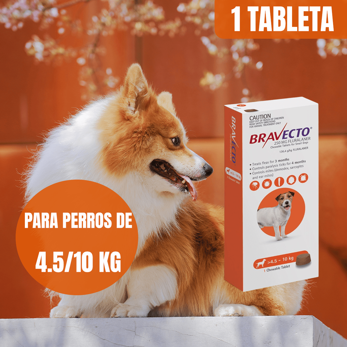 BRAVECTO ANTIPULGAS Y GARRAPATAS PARA PERROS - FridaPets - Perro - Salud y bienestar - Bravecto