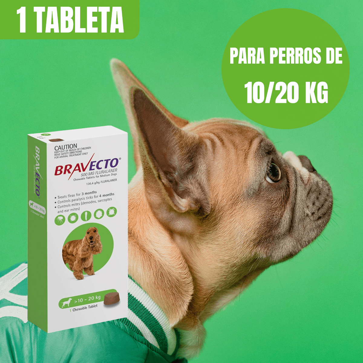 BRAVECTO ANTIPULGAS Y GARRAPATAS PARA PERROS - FridaPets - Perro - Salud y bienestar - Bravecto