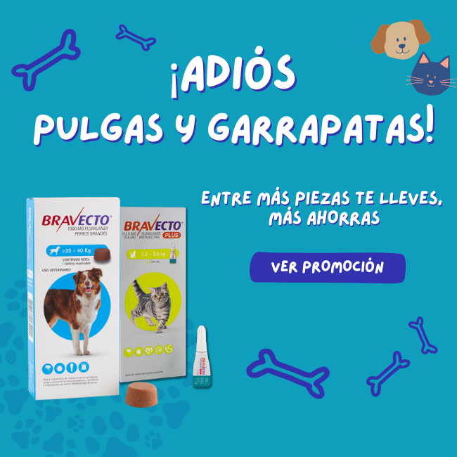 FridaPets