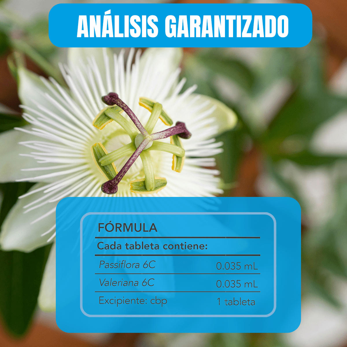 Calmi Pets Tabletas con Pasiflora y Valeriana para Perros - Nartex - FridaPets - Perro - Salud y bienestar - Nartex