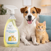 Neutralizador Frida Pets junto al espacio de la mascota