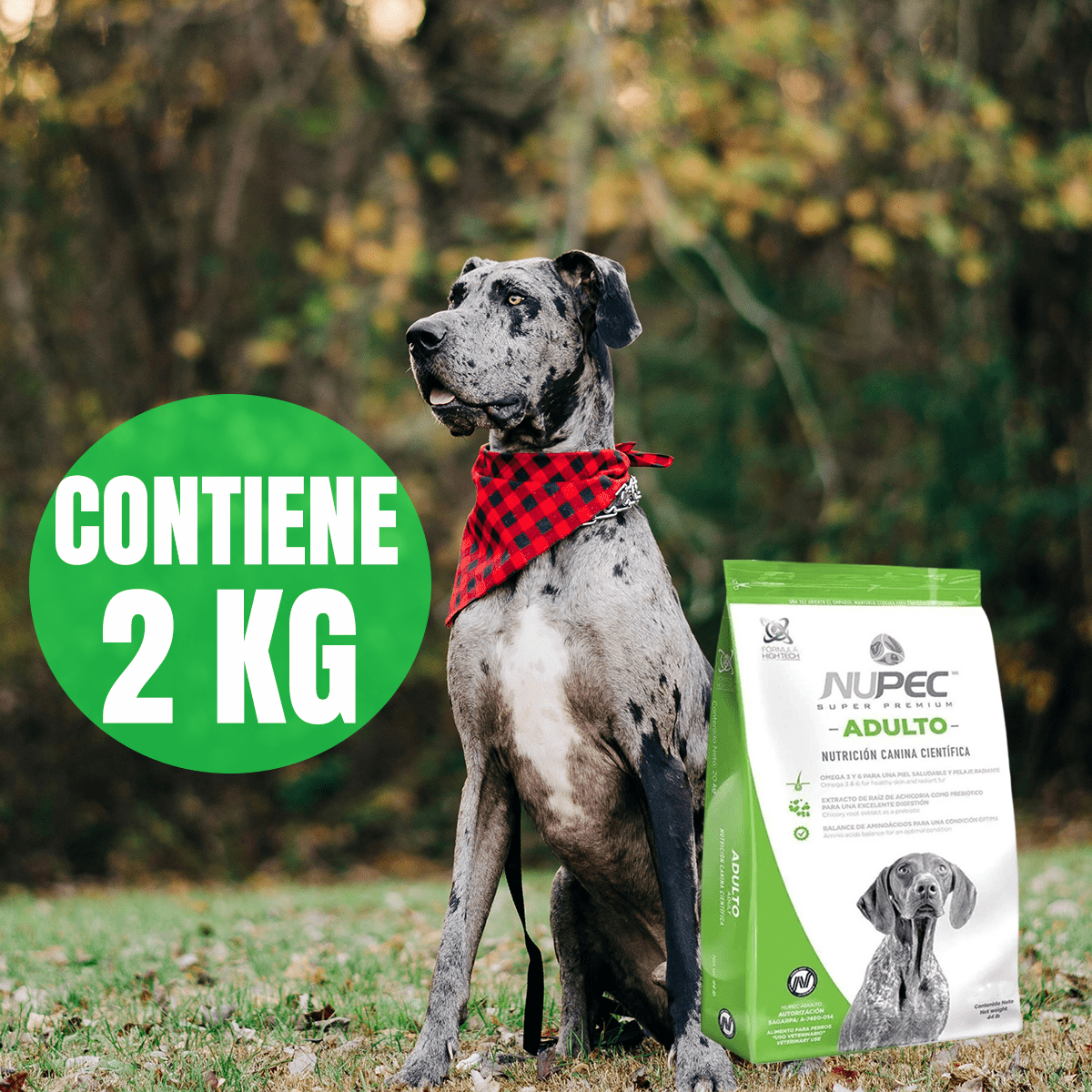 Croquetas Nupec adulto para perro - FridaPets - Perro - Alimento - Seco - Nupec