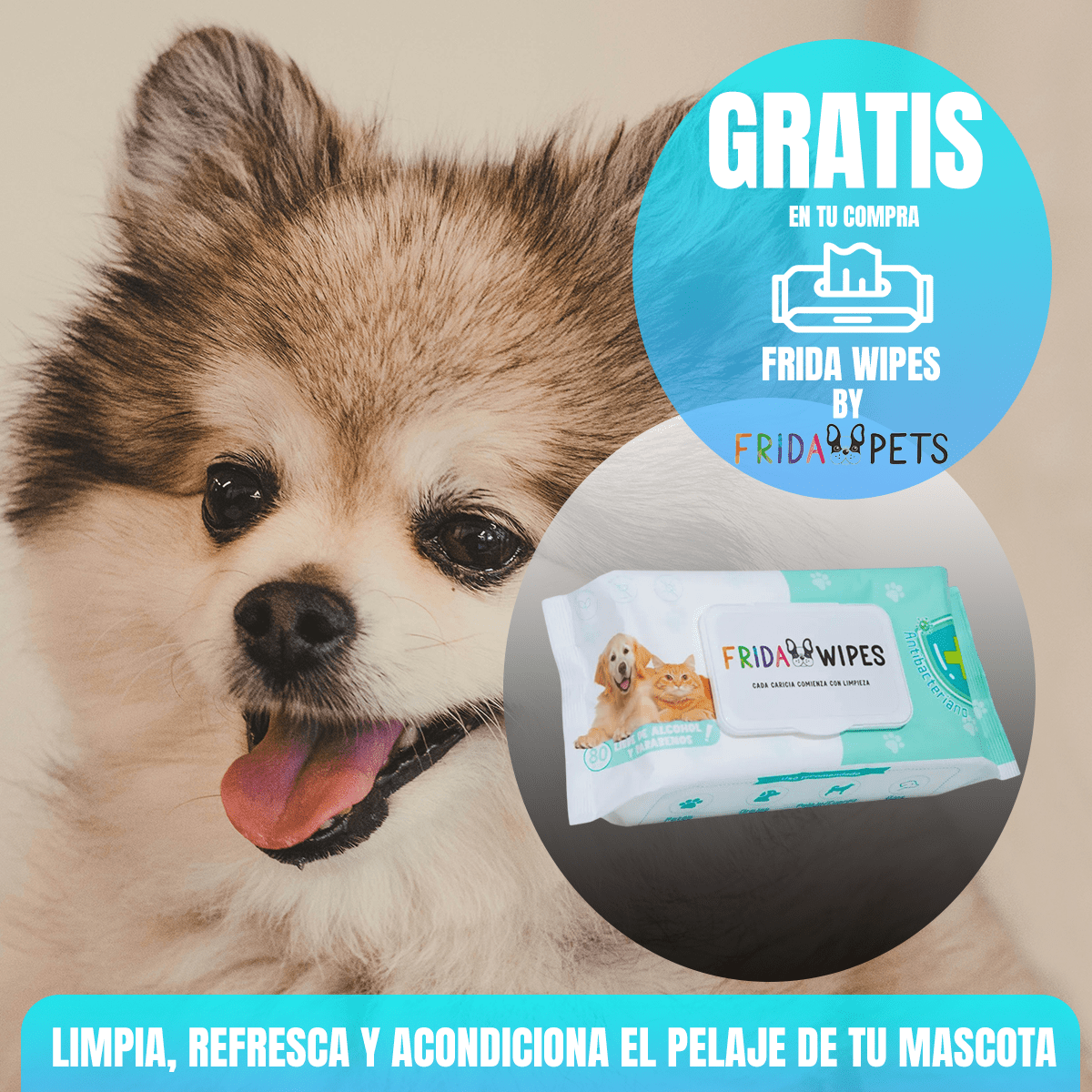 Croquetas Nupec Cachorro 5kg + Toallitas Humedas - FridaPets - Perro - Alimento - Seco - Nupec