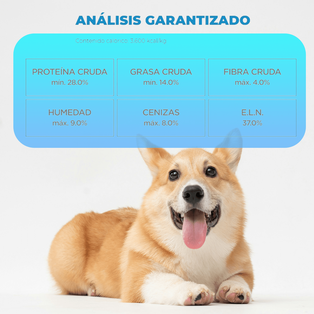 Croquetas Nupec Cachorro 5kg + Toallitas Humedas - FridaPets - Perro - Alimento - Seco - Nupec