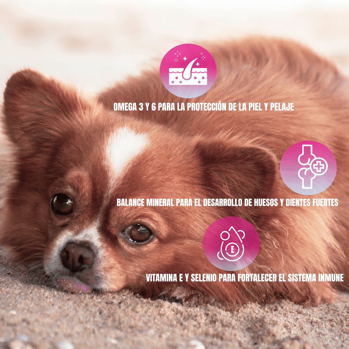 Croquetas Nupec Cachorro Razas Pequeñas 4kg - FridaPets - Perro - Alimento - Seco - Nupec