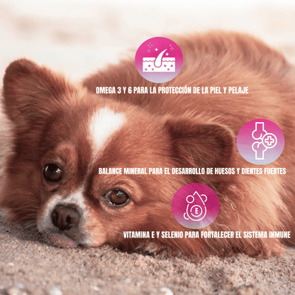 Croquetas Nupec Cachorro Razas Pequeñas 4kg - FridaPets - Perro - Alimento - Seco - Nupec