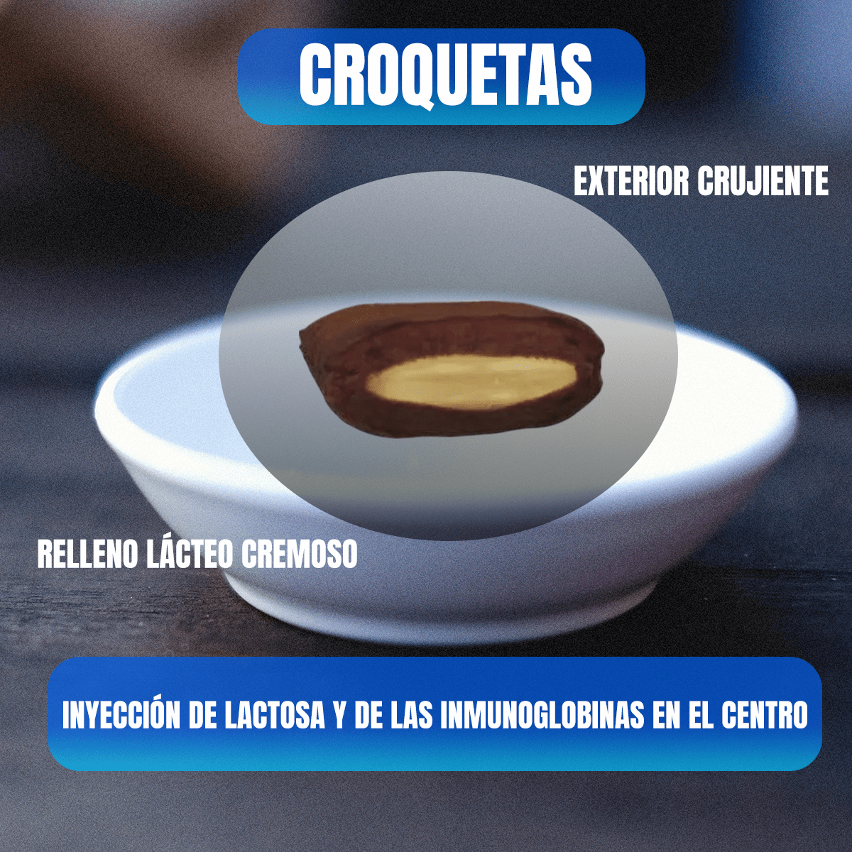 Croquetas Nupec First Care 8kg + Regalo Para Perro - FridaPets - Perro - Alimento - Seco - Nupec