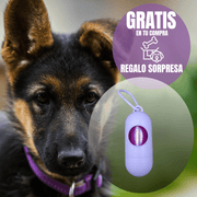 Imagen promocional de Diamond Puppy con un perro y un dispensador morado de bolsas para paseo