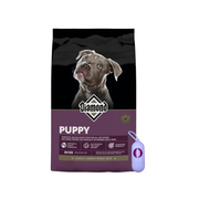 Bolsa de alimento Diamond Puppy para cachorros junto a un dispensador morado de bolsas para paseo