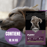 Diamond Puppy de 18.14 kg junto a la fotografía de un cachorro