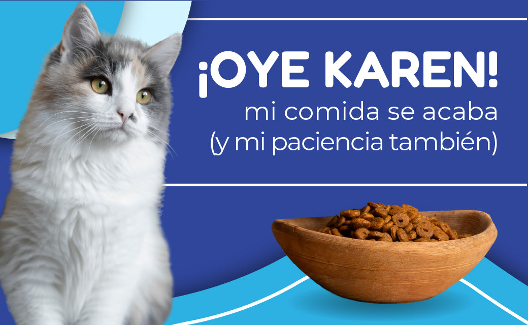 FridaPets