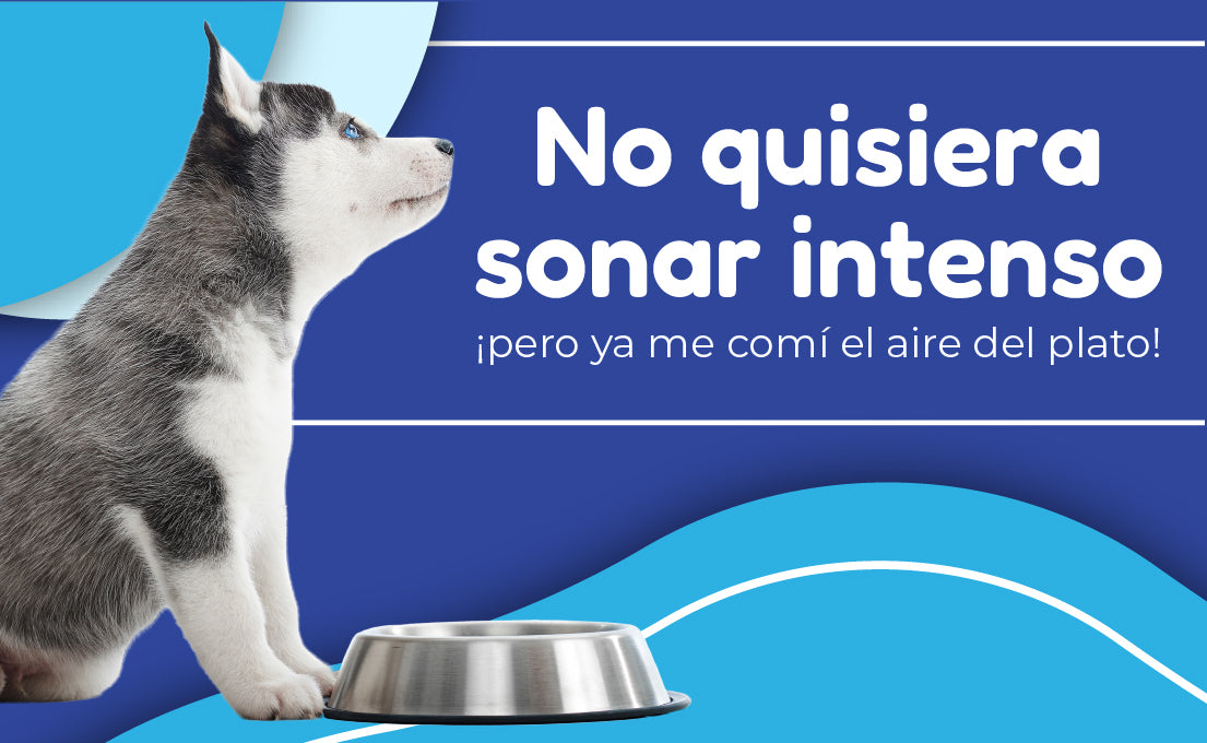 FridaPets