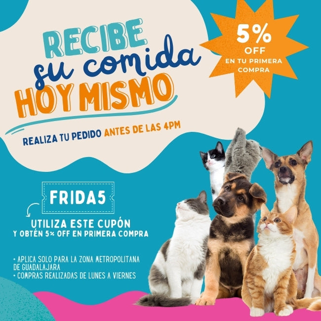 FridaPets