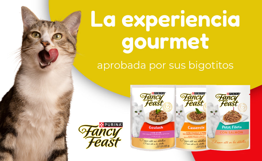 FridaPets