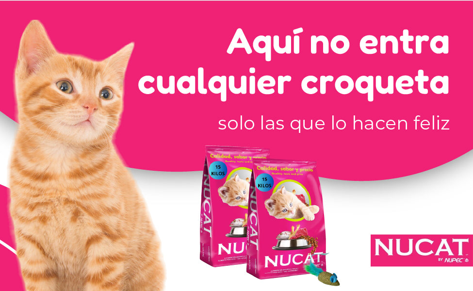 FridaPets