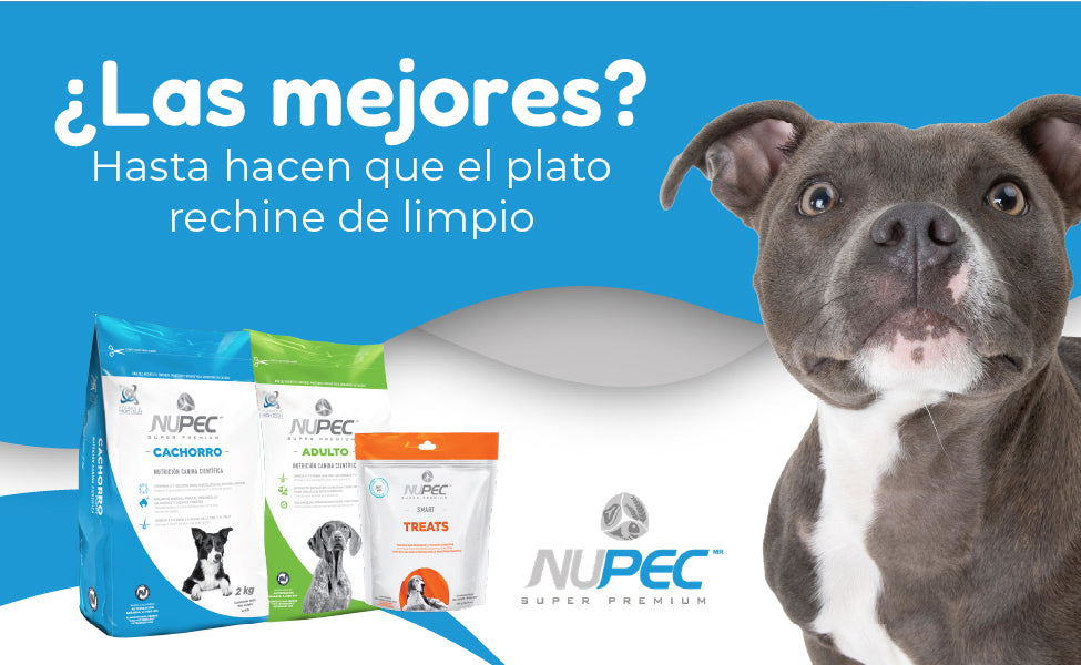 FridaPets