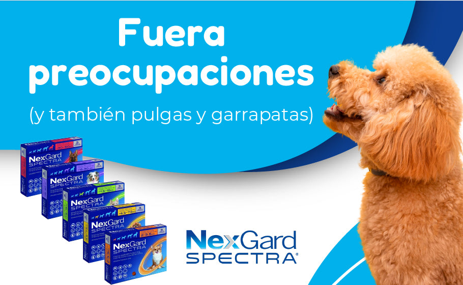 FridaPets