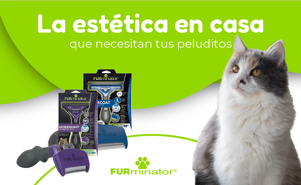 FridaPets