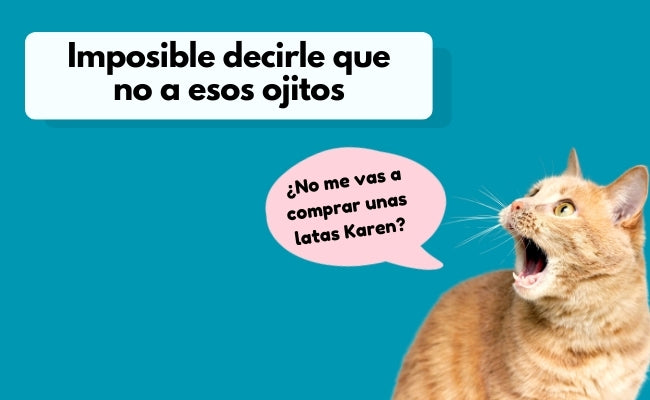 FridaPets