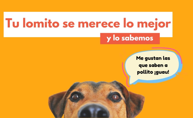 FridaPets