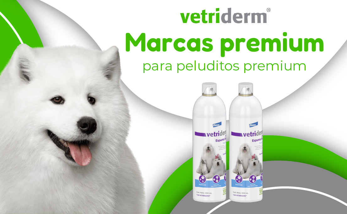 FridaPets