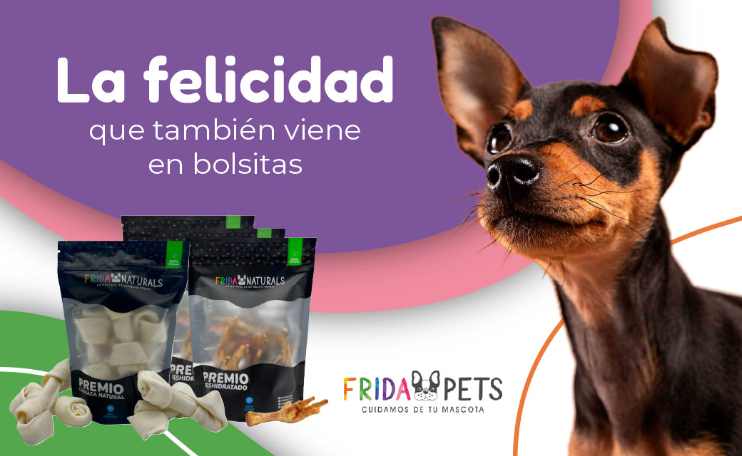 FridaPets